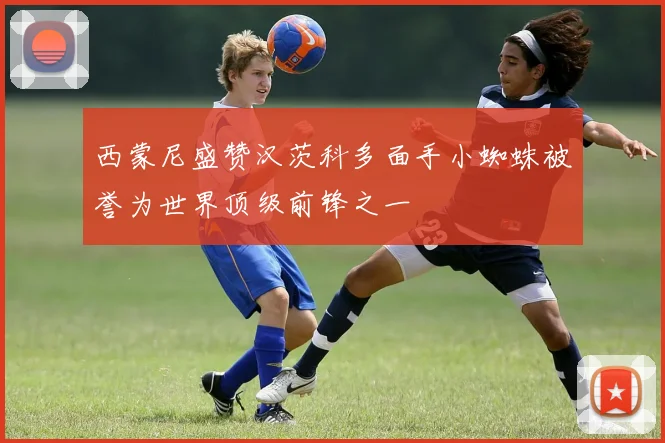 西蒙尼盛赞汉茨科多面手小蜘蛛被誉为世界顶级前锋之一